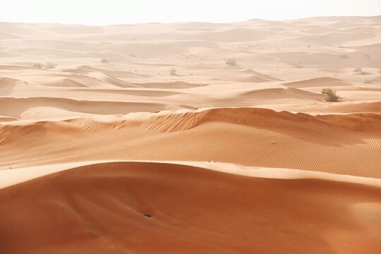 Tour image 4